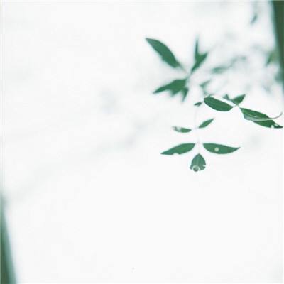 中国最贵研究生专业，打折都没人读了
